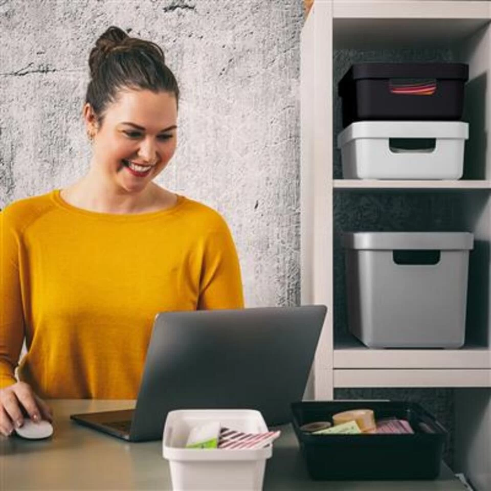 Sigma Home Opbergbox 18L Grijs - Afbeelding 4