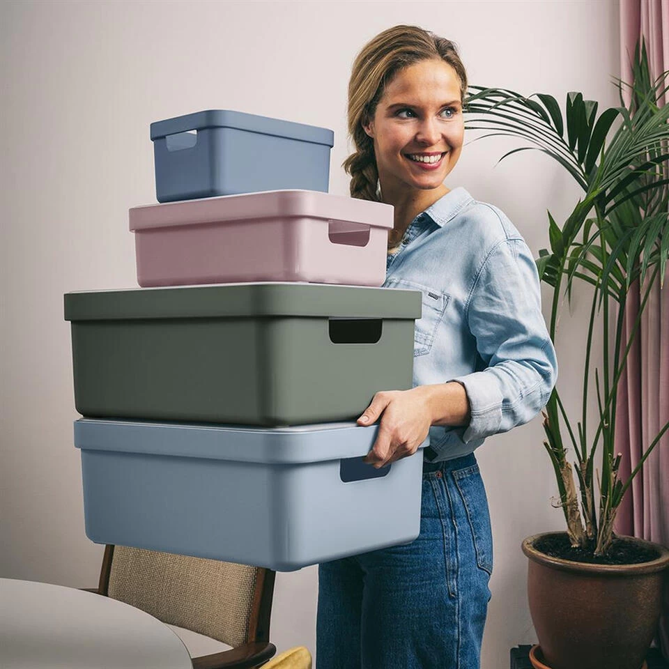 Sigma Home Opbergbox 9L Roze - Afbeelding 4