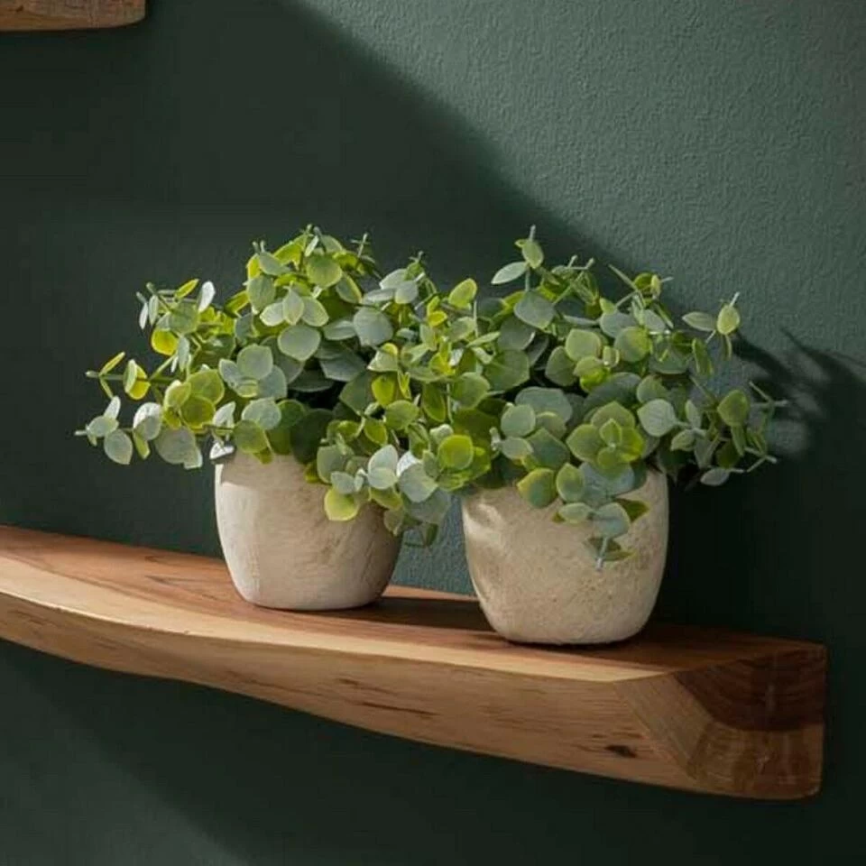 Woody Wandplank Set - Hout - Bruin - Afbeelding 4