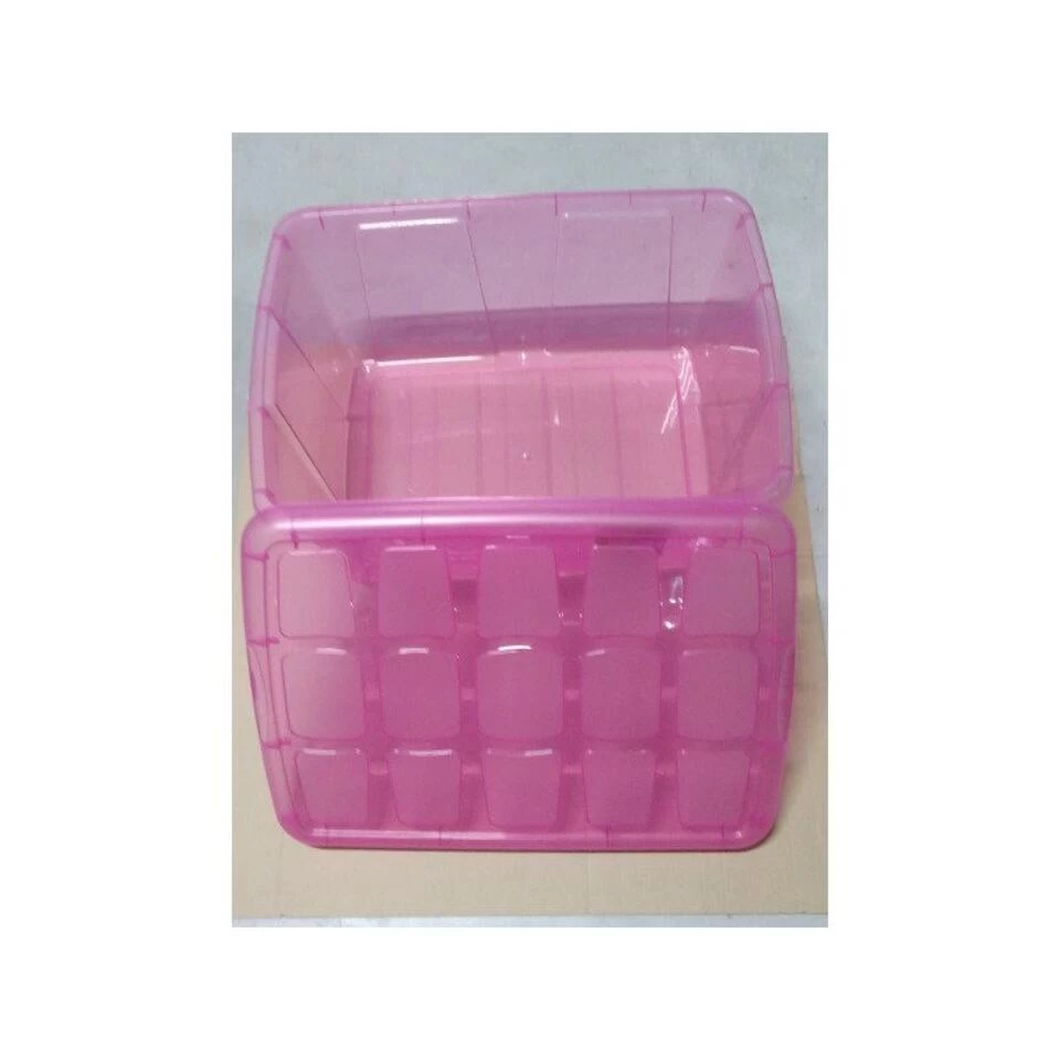 Forte Plastics Opberger - Met Deksel - Roze - 60 L - 63 X 46 X 32 Cm - Afbeelding 3